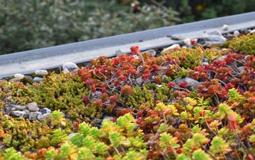 the cost of Studland green roof installation