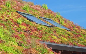 Studland living roof systems