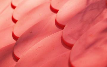 Studland plastic roof costs