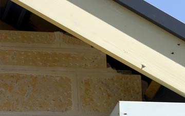 soffit repair Studland