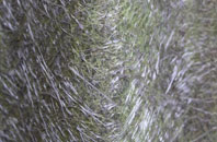 Studland fibreglass roof work